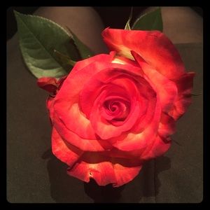 Meet your Posher, Marrisa